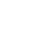 Security Icon